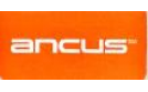 Ancus